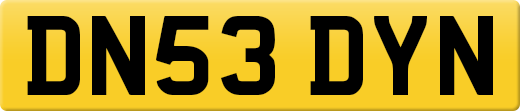 DN53DYN